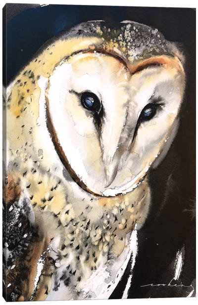 Barn Owl Canvas Art Print - Soo Beng Lim
