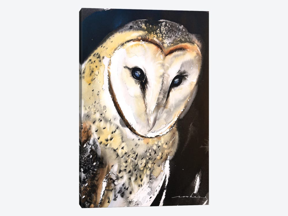 Barn Owl by Soo Beng Lim 1-piece Canvas Wall Art