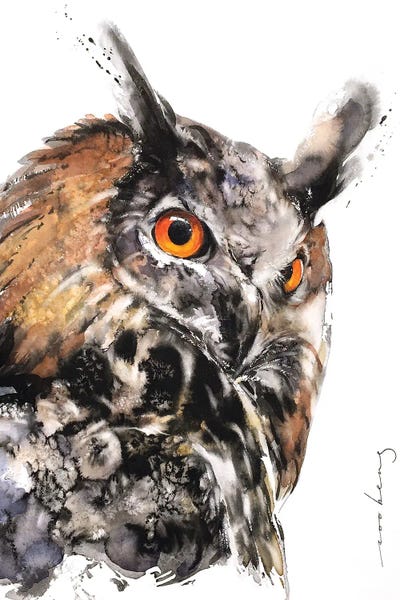 Soo Beng Lim: Hello Owl by Soo Beng Lim