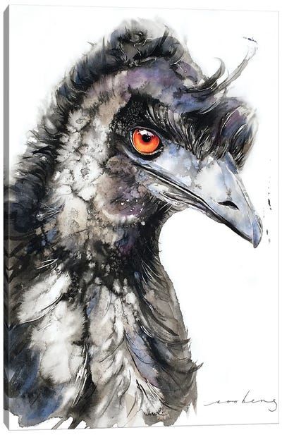 Emu Racer4 Canvas Art Print