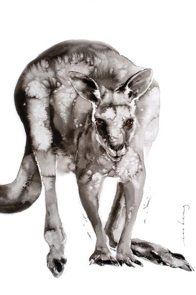 Aussie Boomer by Soo Beng Lim framed wall art