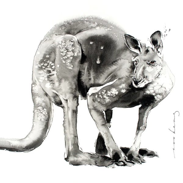 Kangaroos: Aussie Boomer II by Soo Beng Lim