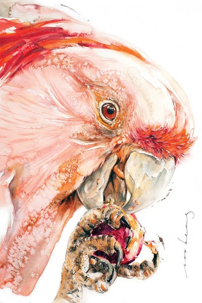 Cacatua by Soo Beng Lim canvas print