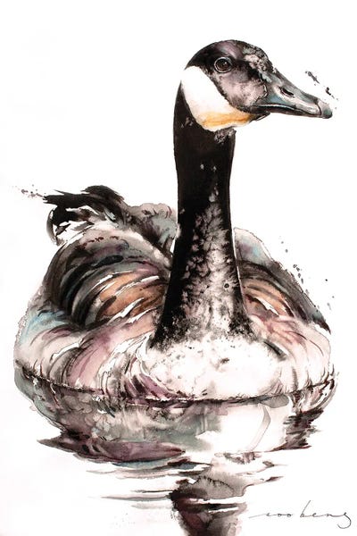 Soo Beng Lim: Drake Reflections by Soo Beng Lim