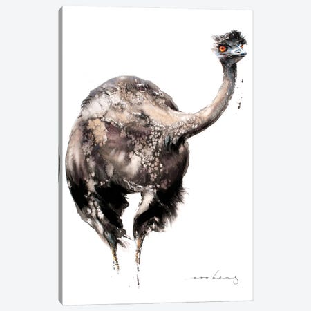 Emu Racer V Canvas Print #LIM272} by Soo Beng Lim Canvas Art Print