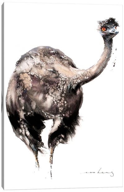 Emu Racer V Canvas Art Print