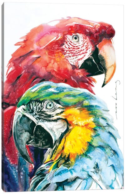 Parrot Splendour Canvas Art Print - The Art of the Feather