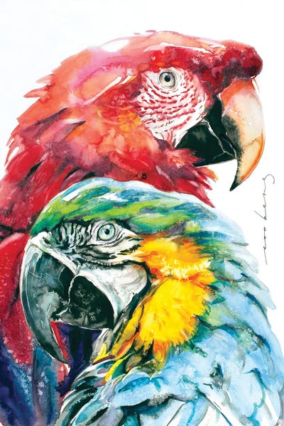 Soo Beng Lim: Parrot Splendour by Soo Beng Lim