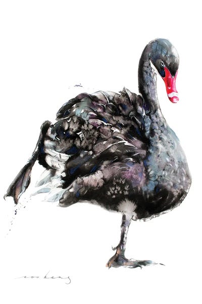 Swan Ballet by Soo Beng Lim metal wall art