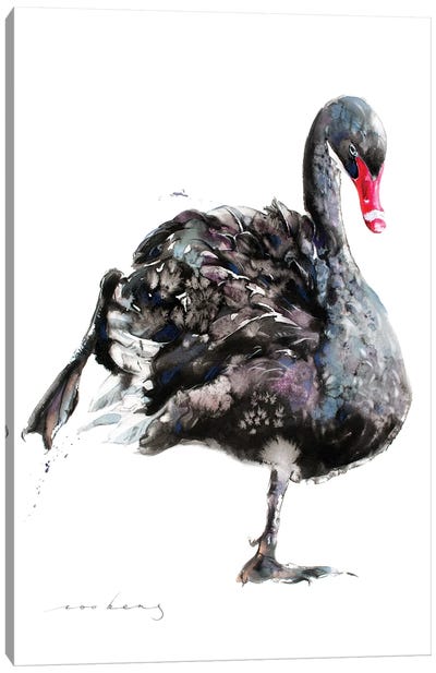 Swan Ballet Canvas Art Print - Swan Art