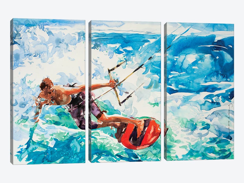 Wild Exhilarations by Soo Beng Lim 3-piece Canvas Print