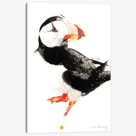 Puffin Bird Canvas Print #LIM290} by Soo Beng Lim Canvas Print