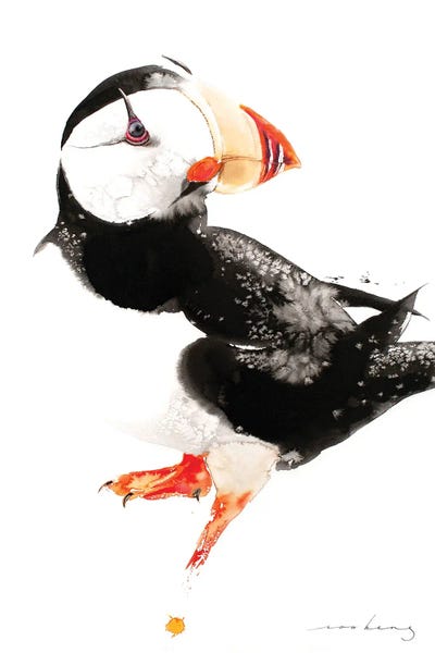 Soo Beng Lim: Puffin Bird by Soo Beng Lim