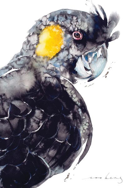 Yellow-Tailed Black Cockatoo by Soo Beng Lim framed wall art