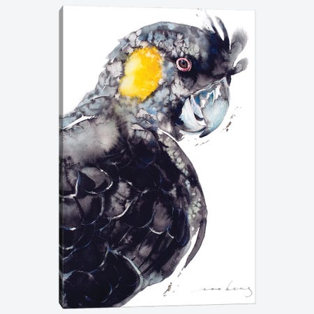 Yellow-Tailed Black Cockatoo Canvas Print #LIM291} by Soo Beng Lim Canvas Art Print