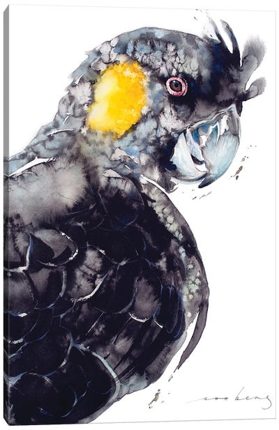 Yellow-Tailed Black Cockatoo Canvas Art Print - Cockatoo Art