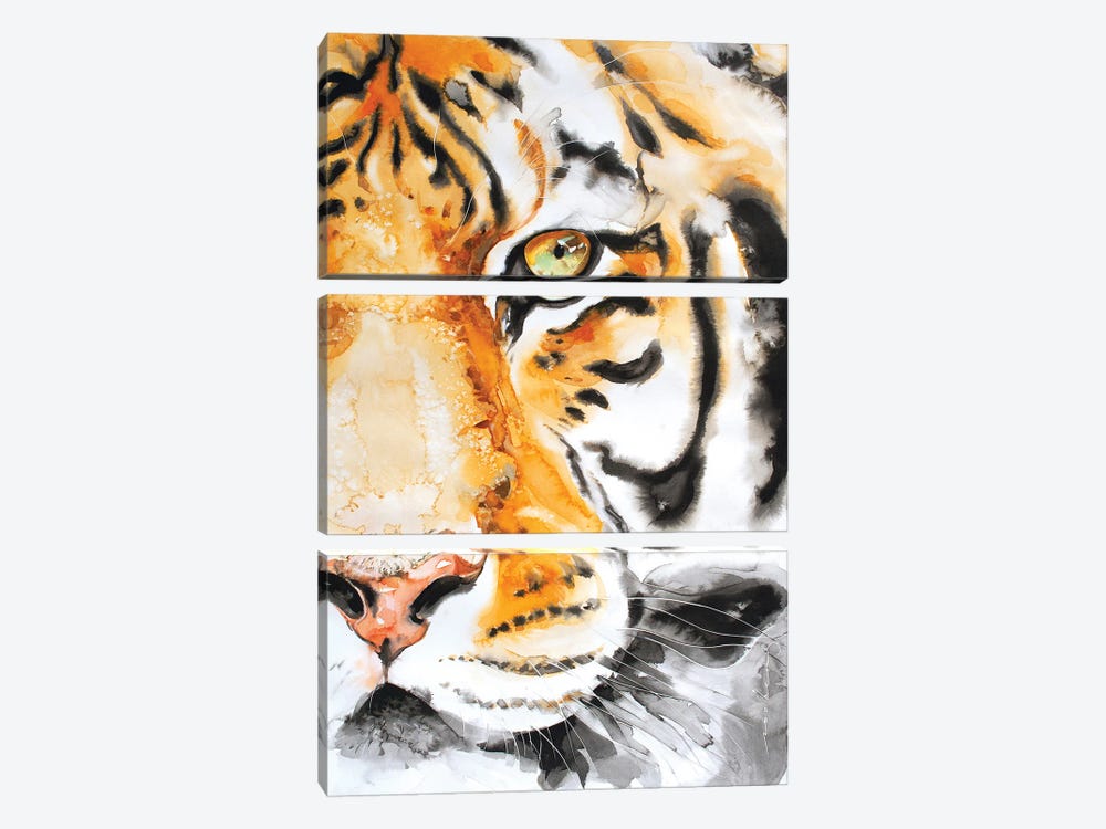 Water Tiger 3-piece Canvas Art