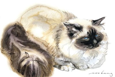 Serenity Cat by Soo Beng Lim metal wall art