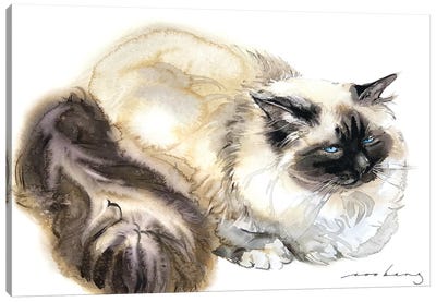 Serenity Cat Canvas Art Print - Soo Beng Lim