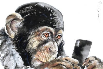 Chimp Connect by Soo Beng Lim framed wall art