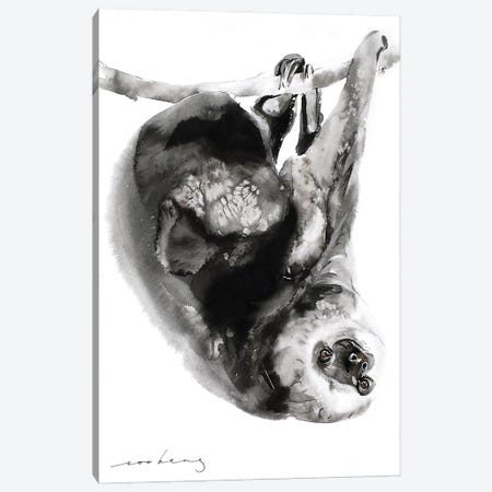 Sloth I Canvas Print #LIM317} by Soo Beng Lim Canvas Art Print