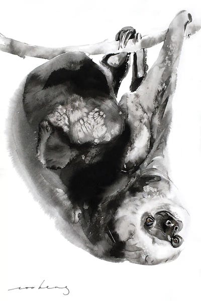 Sloths: Sloth I by Soo Beng Lim