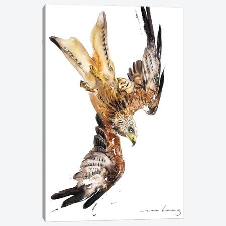 Red Kite In Flight Canvas Print #LIM319} by Soo Beng Lim Canvas Artwork