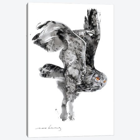 Owlie Flight II Canvas Print #LIM321} by Soo Beng Lim Canvas Art Print