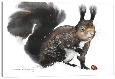 Nuts About Squirrel Canvas Art Print - Squirrel Art