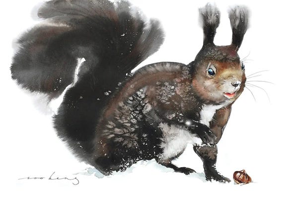 Squirrels: Nuts About Squirrel by Soo Beng Lim