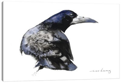 Mystic Crow Canvas Art Print - Soo Beng Lim