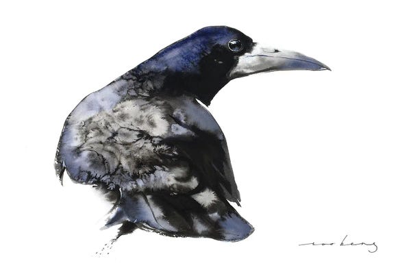 Crows: Mystic Crow by Soo Beng Lim