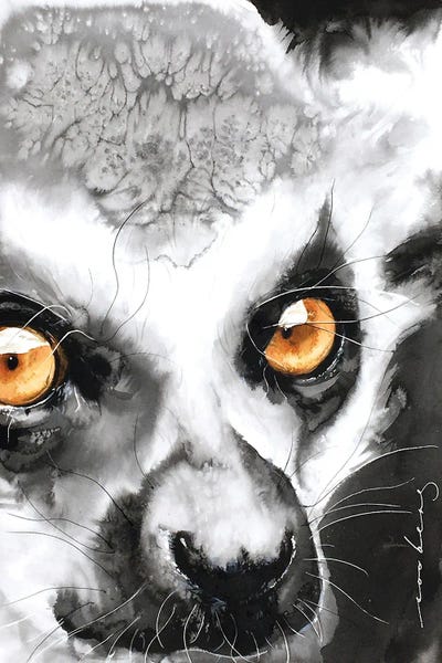 Madagascan Princess II by Soo Beng Lim art print