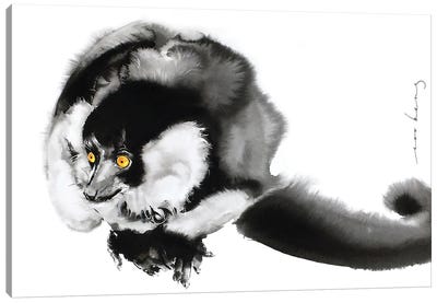 Madagascan Princess Canvas Art Print - Lemur Art