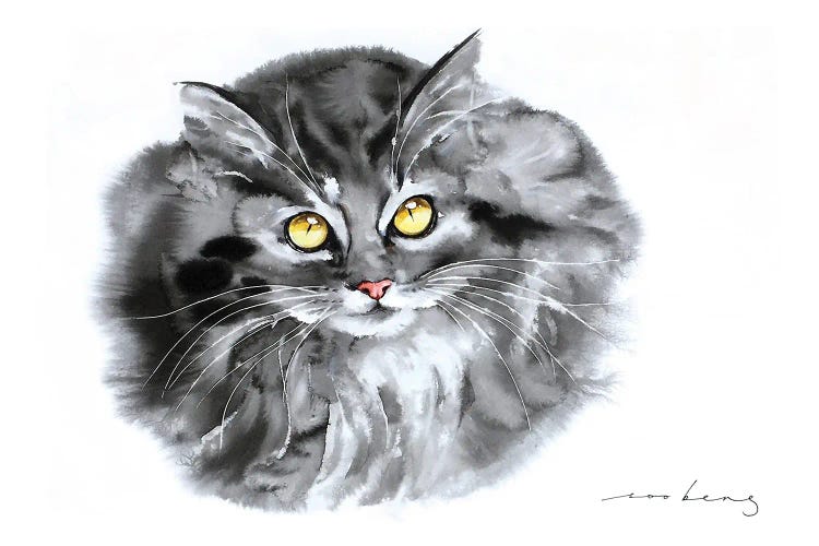 Kitty Eyes