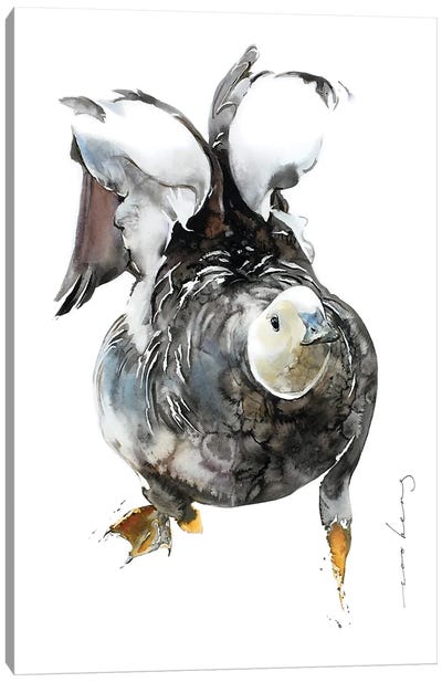 Fluttering Wings Canvas Art Print - Soo Beng Lim