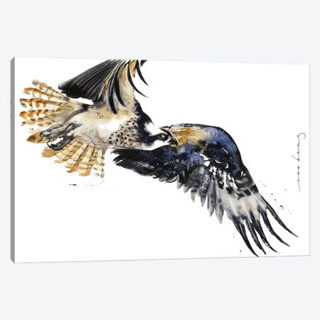 Flight Of Falcon Canvas Print #LIM331} by Soo Beng Lim Canvas Artwork
