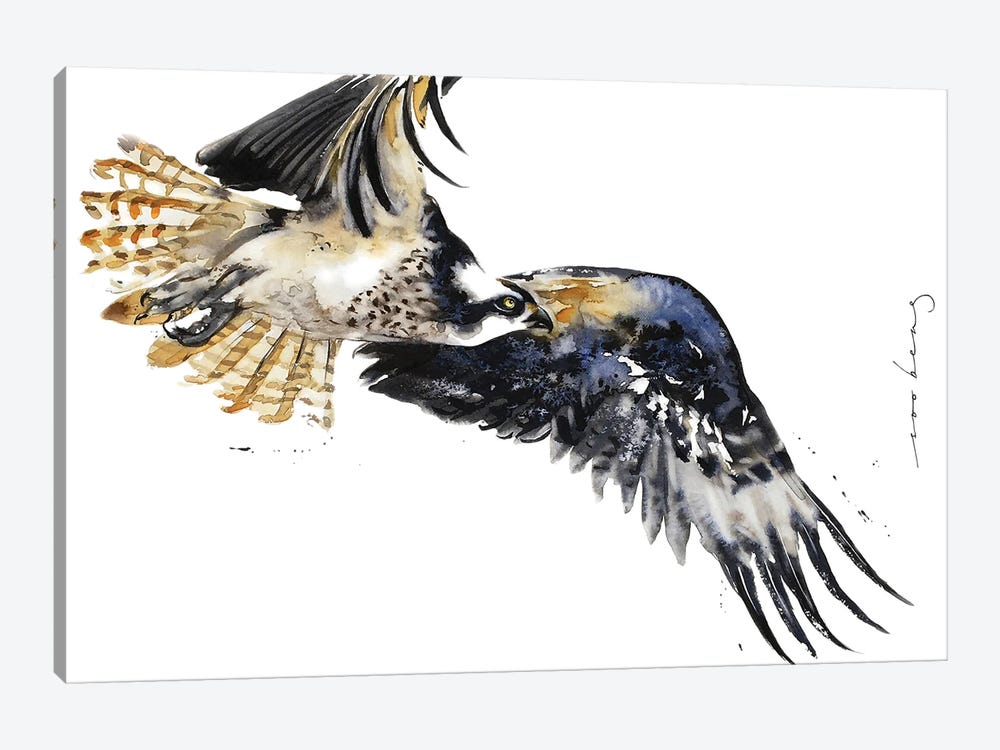 Flight Of Falcon by Soo Beng Lim 1-piece Canvas Art
