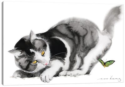 Delicate Distraction Canvas Art Print - Tuxedo Cat Art