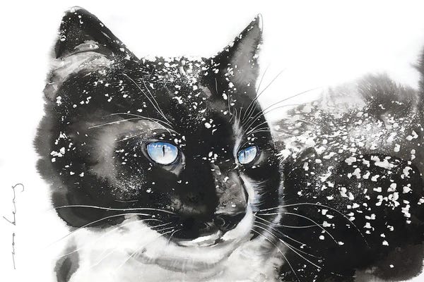 Tuxedo Cats: Cat Nuzzler by Soo Beng Lim