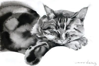Cat Nap II by Soo Beng Lim framed canvas print