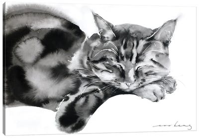 Cat Nap II Canvas Art Print - Soo Beng Lim