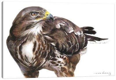 Buzzard Strength Canvas Art Print - Buzzard & Hawk Art
