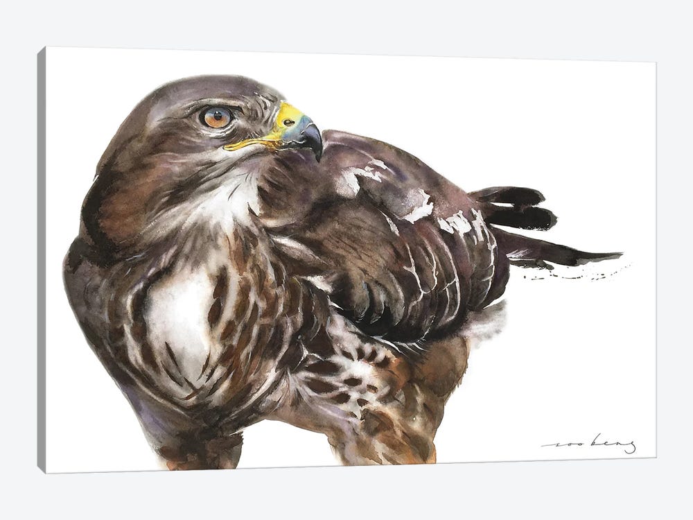 Buzzard Strength by Soo Beng Lim 1-piece Canvas Art Print
