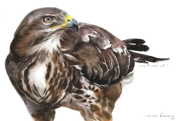 Soo Beng Lim: Buzzard Strength by Soo Beng Lim