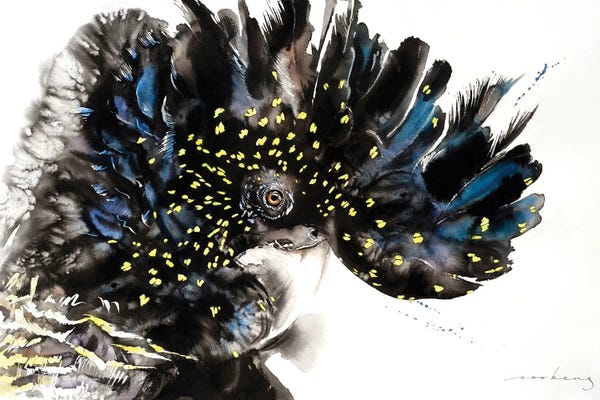 Soo Beng Lim: Black Cockatoo by Soo Beng Lim