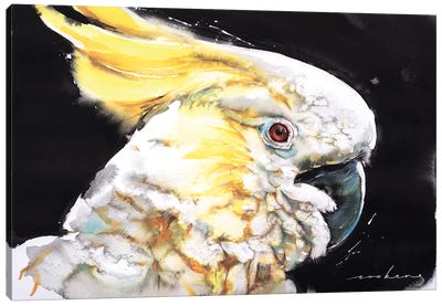 Crowned Feathers Parrot Canvas Art Print - Soo Beng Lim