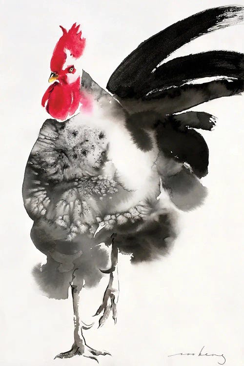 Feathers Rooster