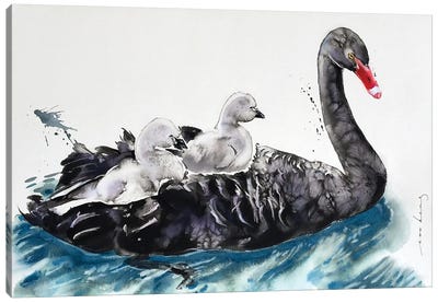 Joy Ride Swan Canvas Art Print - Swan Art