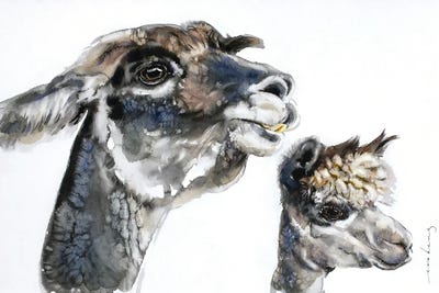 The Llamas II by Soo Beng Lim canvas print